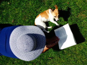 Canva - Short-coated White and Brown Dog